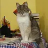 Отзыв от Алена Пименова